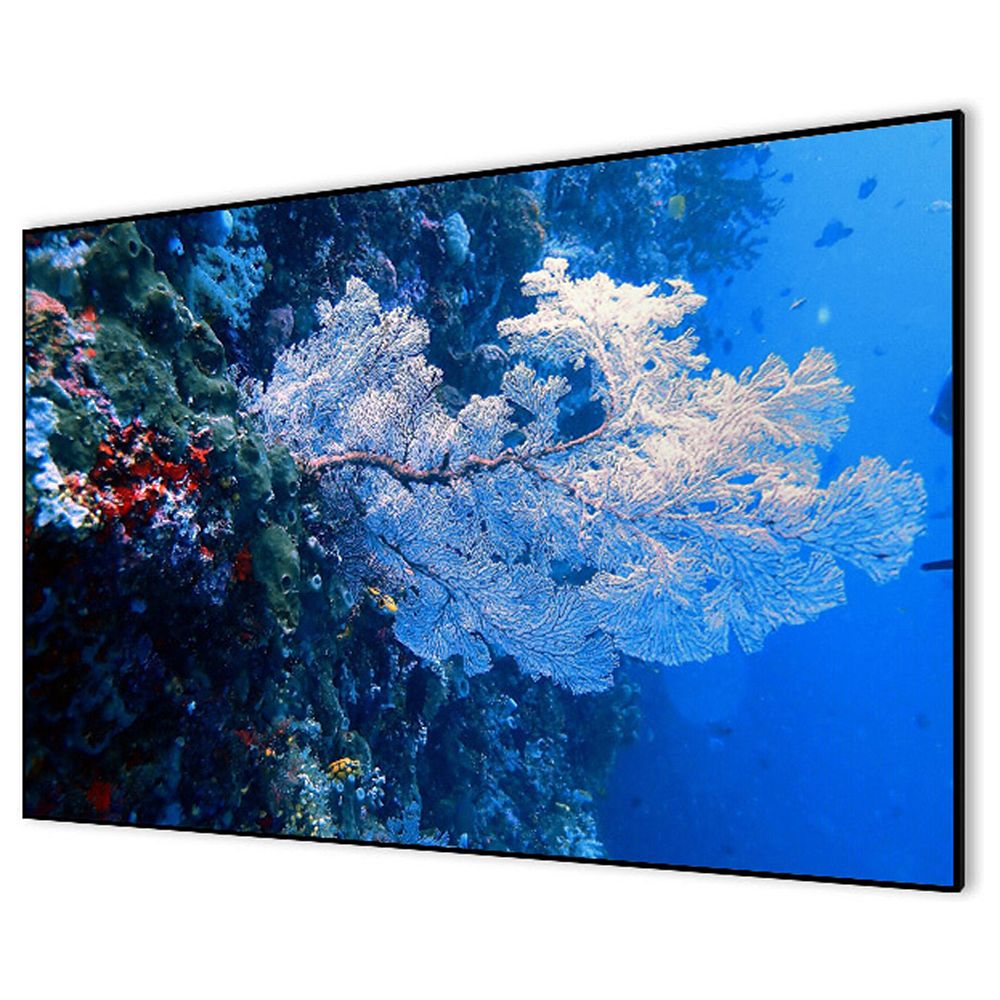 Экран на раме Cactus 267x151см Alr Expert, 120", 16:9 настенный, натяжной, CS-PSALR-267X151