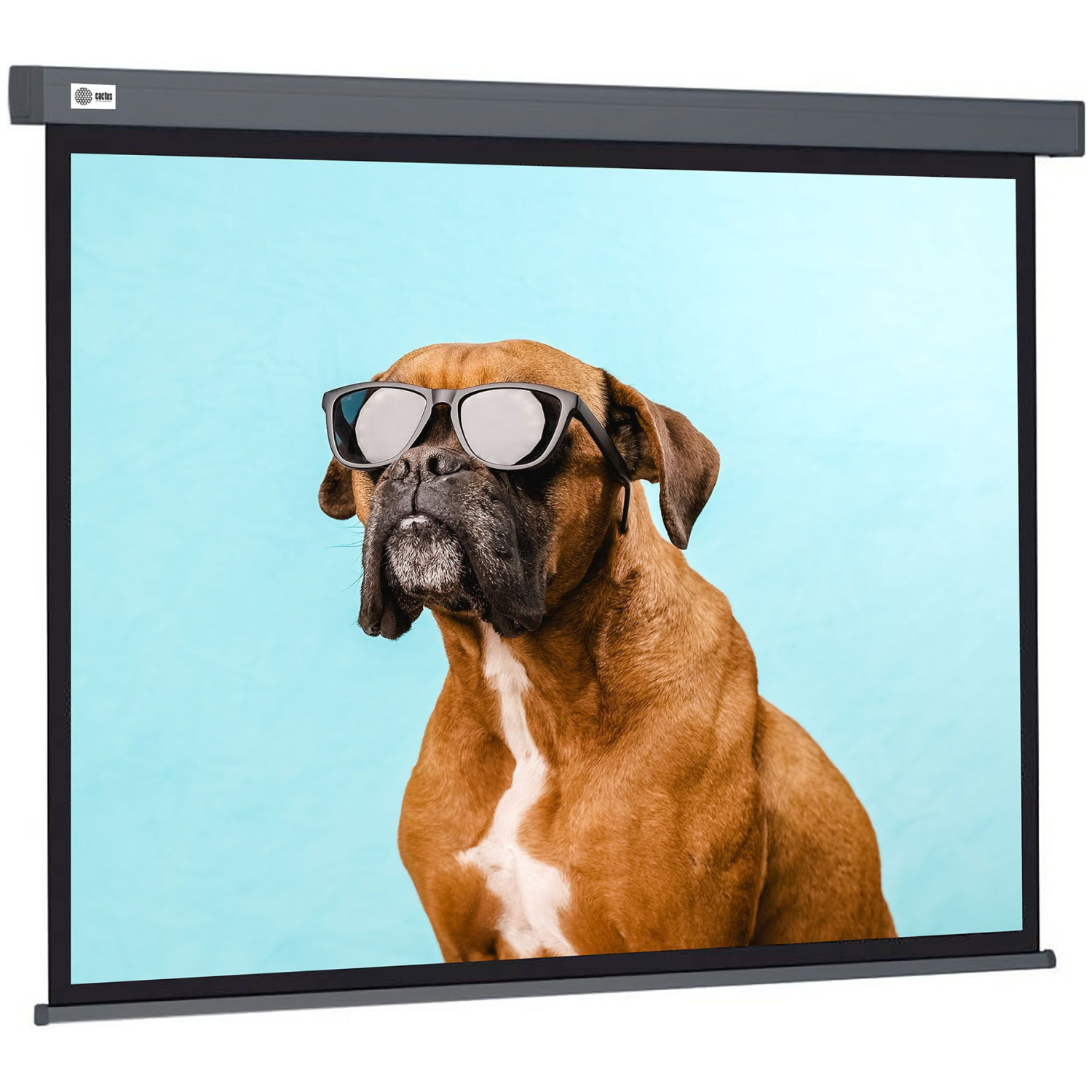 Экран Cactus 265.7x149.4см Wallscreen, 120", 16:9 настенно-потолочный, рулон серый CS-PSW-149X265-SG