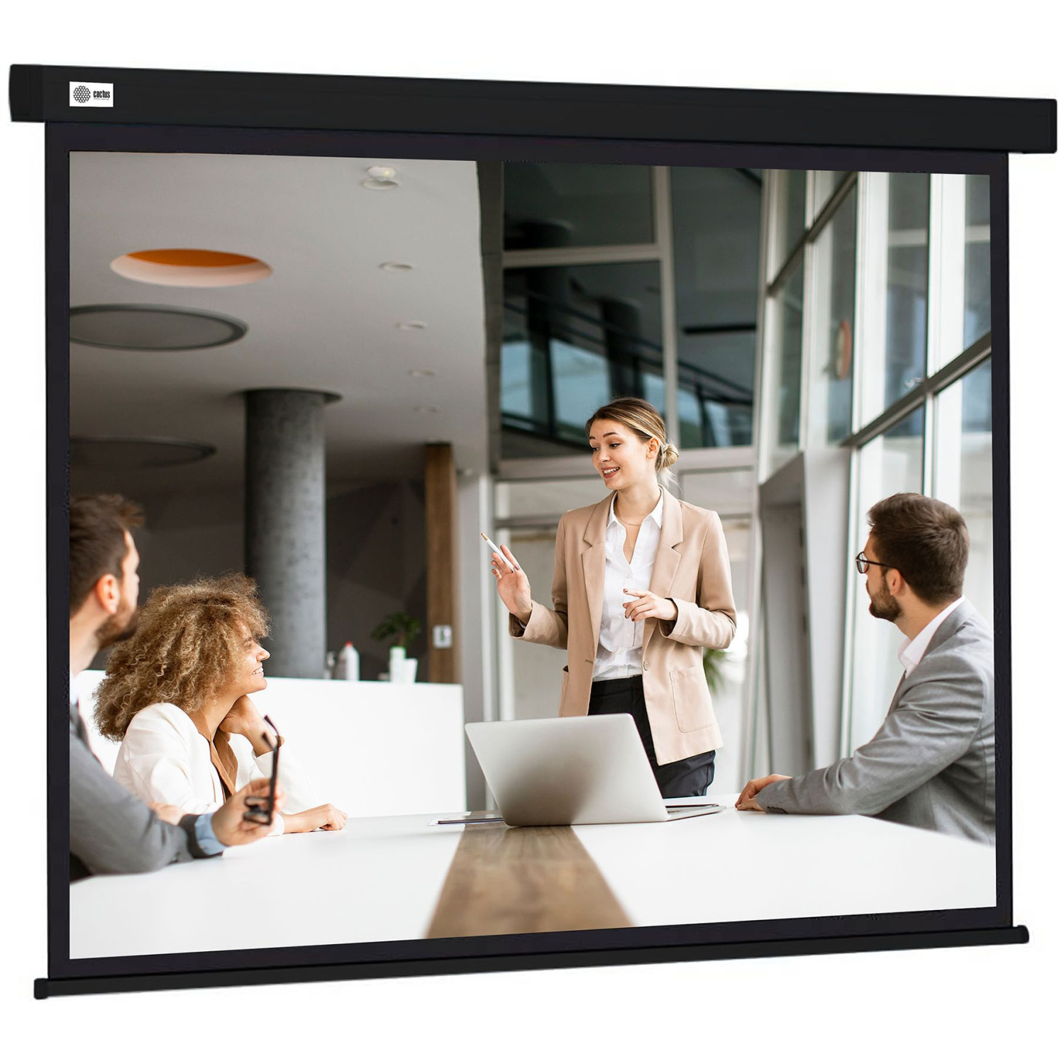 Экран Cactus 299x168см Wallscreen, 135", 16:9 настенно-потолочный, рулонный черный CS-PSW-168X299-BK