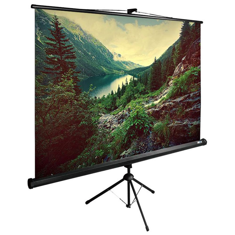 Экран Cactus 220x220см TriExpert, 120", 1:1 напольный, рулонный, черный, CS-PSTE-220x220-BK