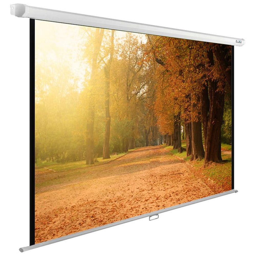 Экран Cactus 200x125см WallExpert, 93", 16:10 настенно-потолочный, рулонный, CS-PSWE-200x125-WT