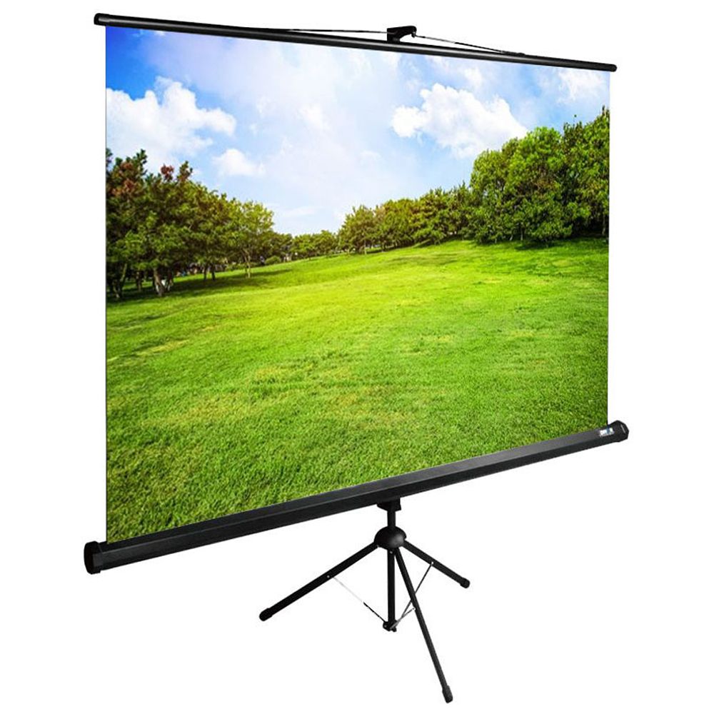 Экран Cactus 200x150см TriExpert, 98", 4:3 напольный, рулонный, черный, CS-PSTE-200x150-BK