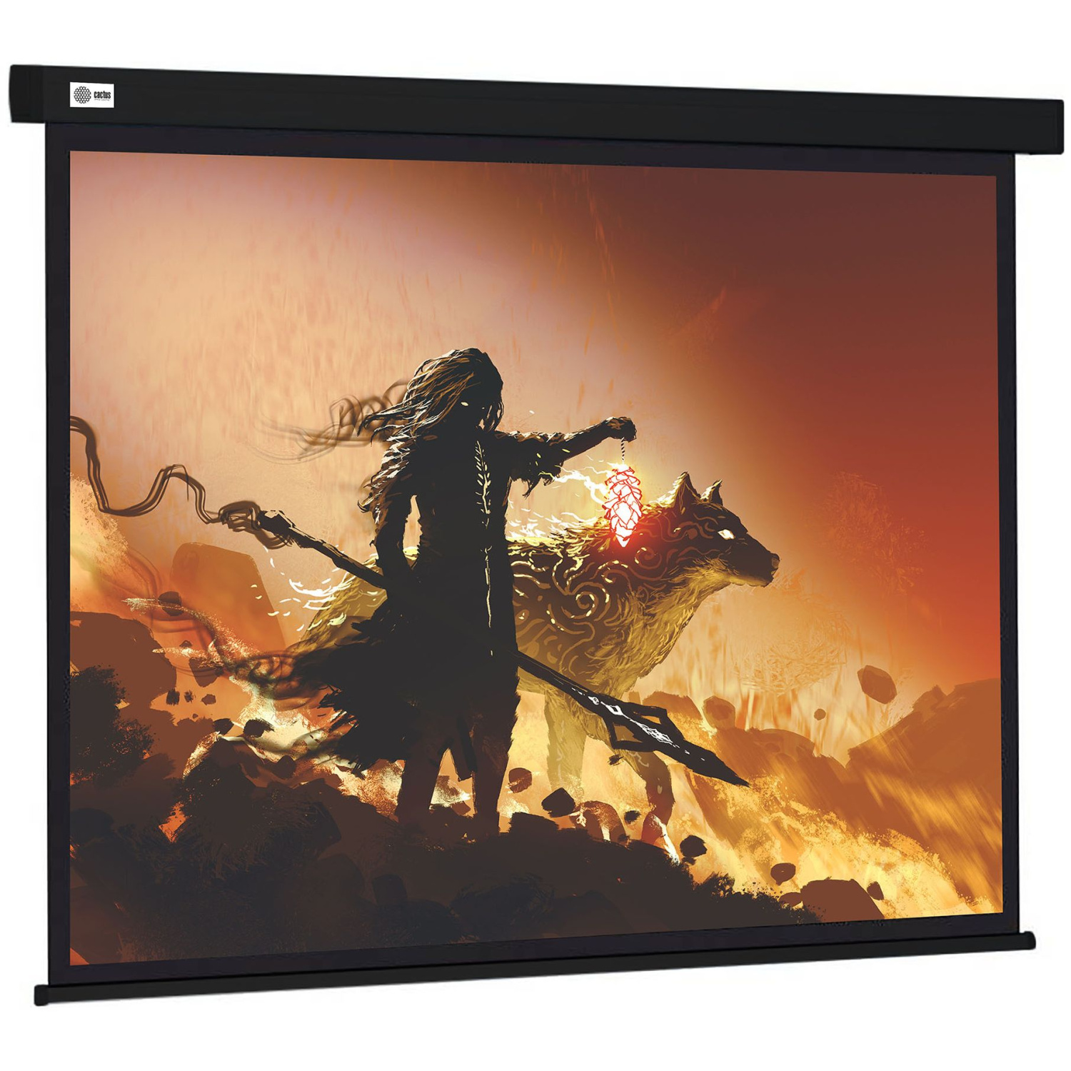 Экран Cactus 265.7x149.4см Wallscreen, 120", 16:9 настенно-потолочный, черный, CS-PSW-149X265-BK