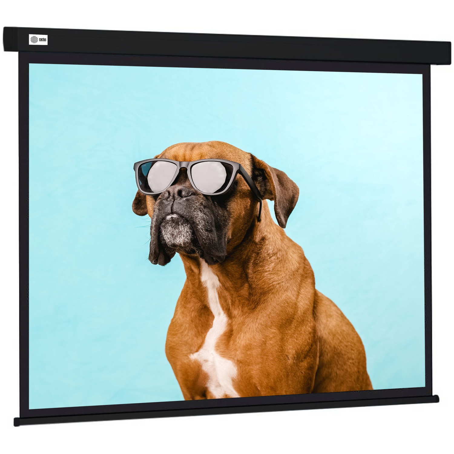 Экран Cactus 244x183см Wallscreen, 120", 4:3 настенно-потолочный, рулонный, черный CS-PSW-183X244-BK
