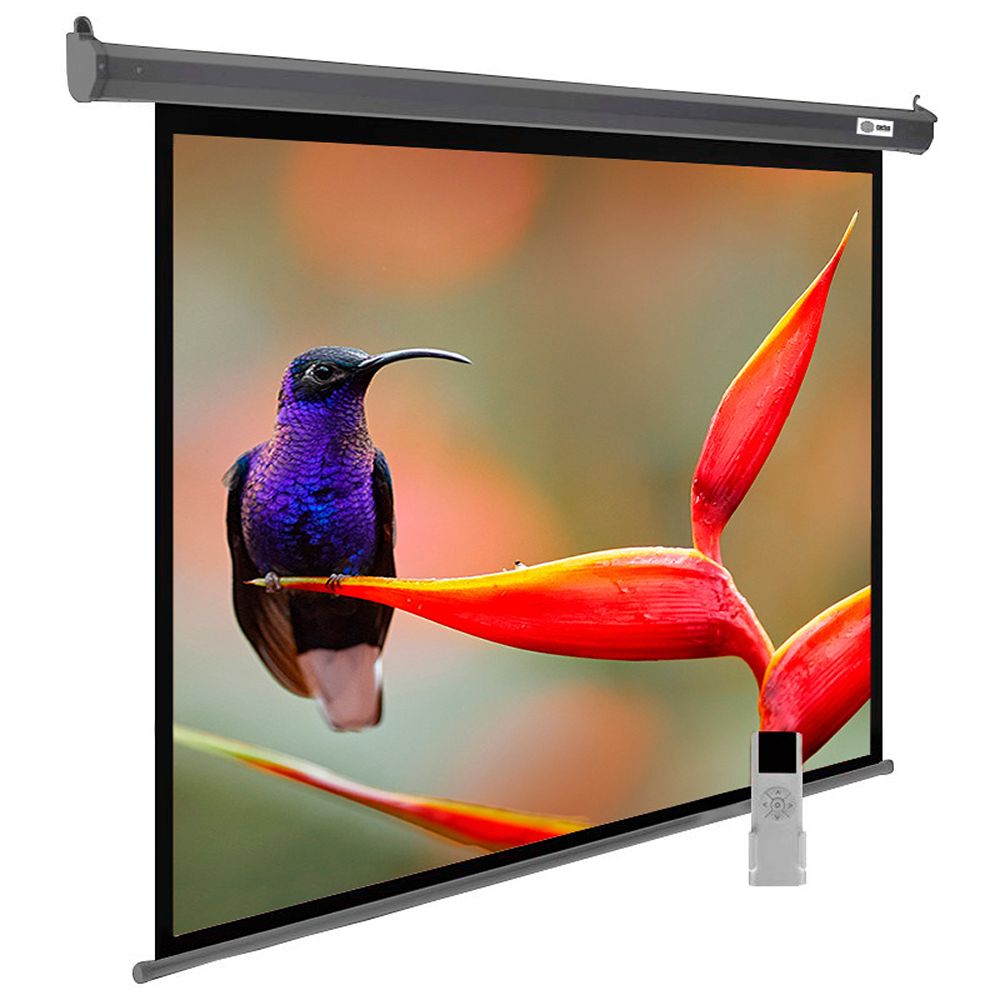 Экран Cactus 220x138см SIlverMotoExpert, 100", 16:10 настенно-потол, эл.привод, CS-PSSME-220X138-DG