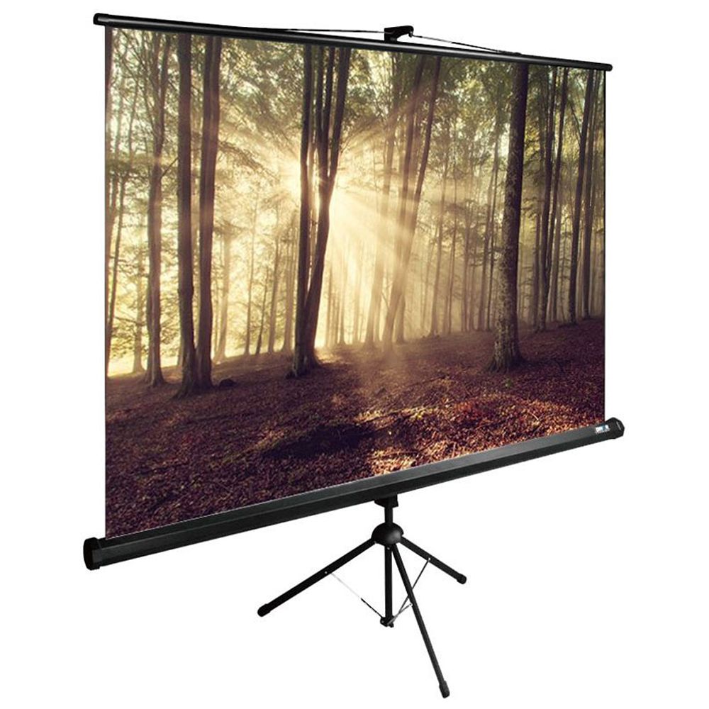 Экран Cactus 180x135см TriExpert, 89", 4:3 напольный, рулонный, черный, CS-PSTE-180x135-BK