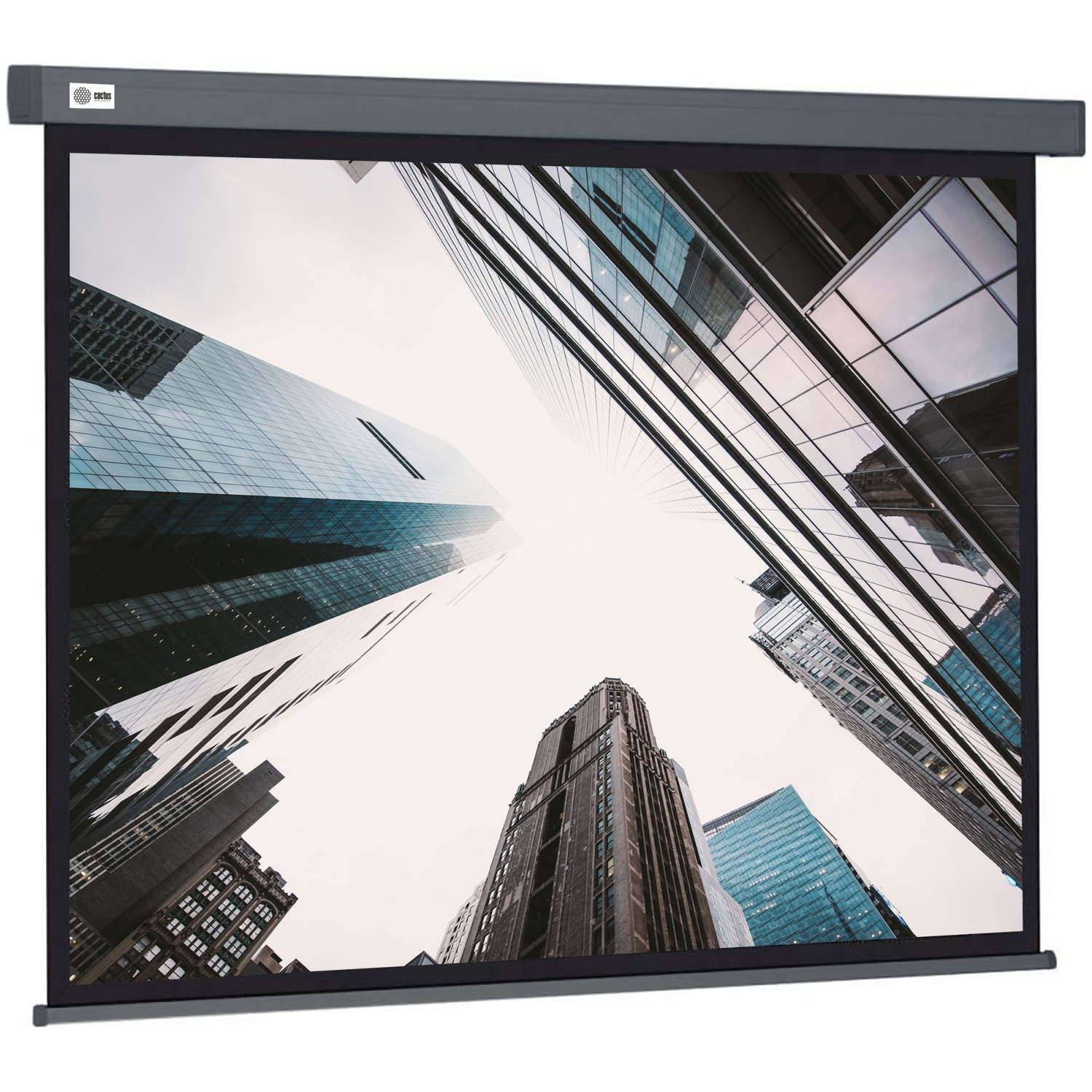Экран Cactus 244x183см Wallscreen, 120", 4:3 настенно-потолочный, рулонный, серый, CS-PSW-183X244-SG
