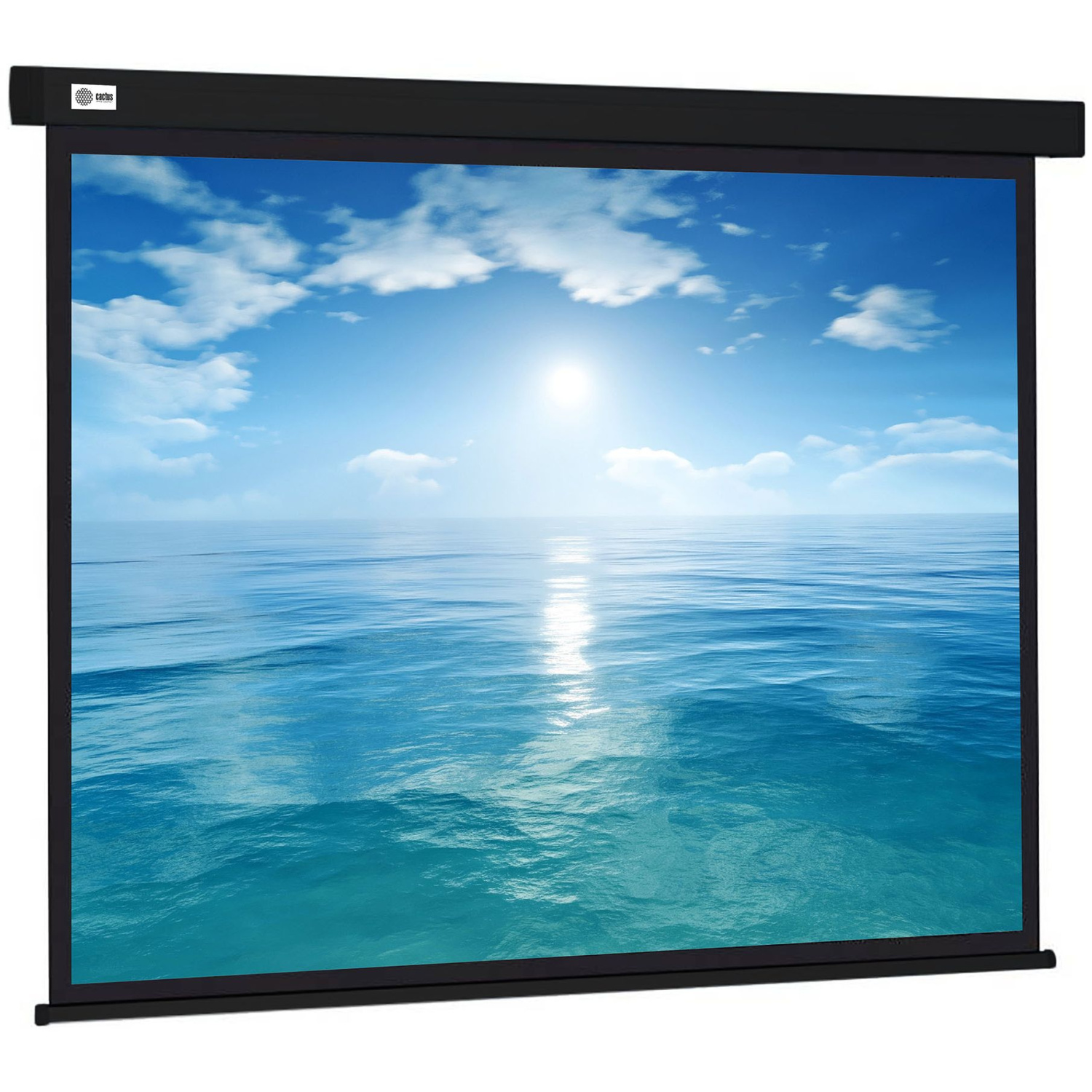 Экран Cactus 186x104.4см Wallscreen, 84", 16:9 настенно-потолочный, рулонн, черный CS-PSW-104X186-BK