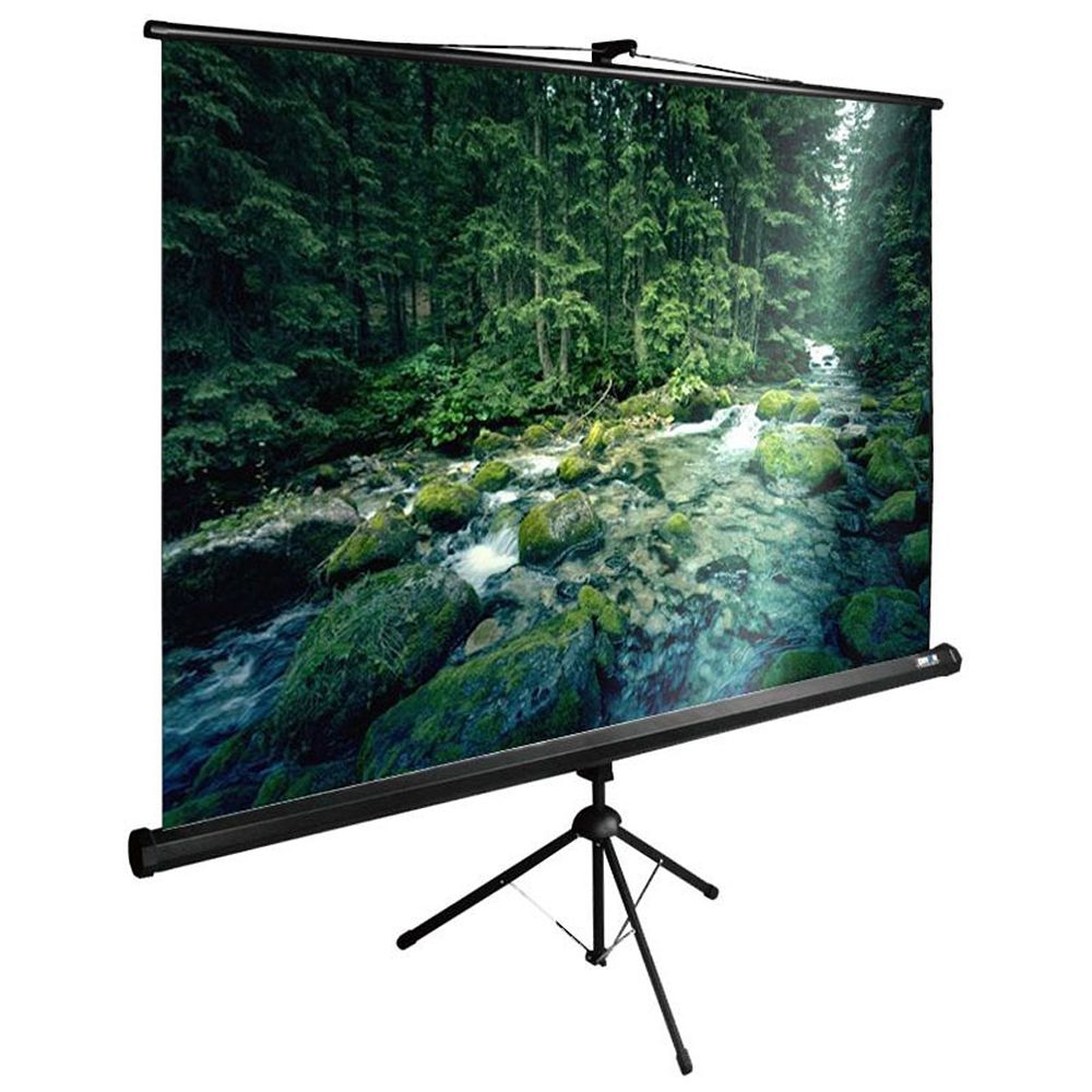 Экран Cactus 220x165см TriExpert, 109", 4:3 напольный, рулонный, черный, CS-PSTE-220x165-BK