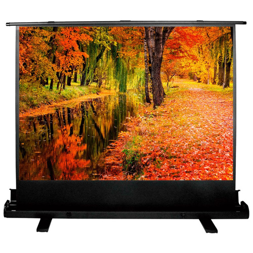 Экран Cactus 200x150смм FloorExpert, 98", 4:3 напольный, рулонный, CS-PSFLE-200X150