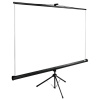 Экран Cactus 200x150см TriExpert, 98", 4:3 напольный, рулонный, черный, CS-PSTE-200x150-BK