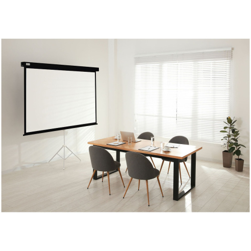 Экран Cactus 265.7x149.4см Wallscreen, 120", 16:9 настенно-потолочный, черный, CS-PSW-149X265-BK