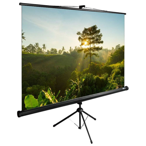 Экран Cactus 200x200см TriExpert, 111", 1:1 напольный, рулонный, черный, CS-PSTE-200x200-BK