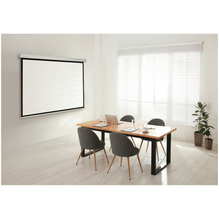 Экран Cactus 203x152см Wallscreen, 100", 4:3 настенно-потолочный, рулонный, белый CS-PSW-152x203