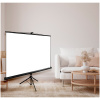 Экран Cactus 186x104.4см Triscreen, 84", 16:9, напольный, рулонный, черный, CS-PST-104x186