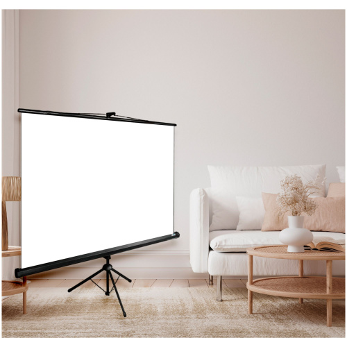 Экран Cactus 186x104.4см Triscreen, 84", 16:9, напольный, рулонный, черный, CS-PST-104x186