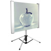 Экран Cactus 180x102смTriAlExpert, 81", 16:9 напольный, рулонный, CS-PSTALE-180X102