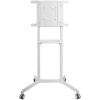 Стойка для телевизора напольная Cactus 37"-70", на колесах, до 70кг, белая, CS-ST1146WT