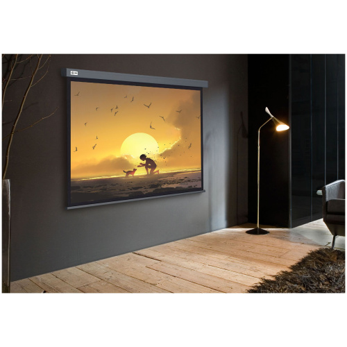 Экран Cactus 221x124.5см Wallscreen, 100", 16:9 настенно-потолочный, рулонн, серый CS-PSW-124X221-SG