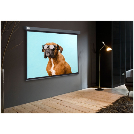 Экран Cactus 265.7x149.4см Wallscreen, 120", 16:9 настенно-потолочный, рулон серый CS-PSW-149X265-SG