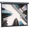 Экран Cactus 244x183см Wallscreen, 120", 4:3 настенно-потолочный, рулонный, серый, CS-PSW-183X244-SG