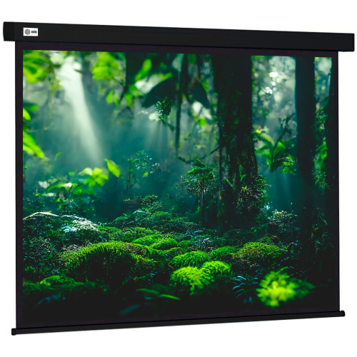 Экран Cactus 213x213см Wallscreen, 119", 1:1 настенно-потолочный, рулонный, черный CS-PSW-213X213-BK