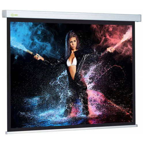 Экран Cactus 299x168см Wallscreen, 135", 16:9 настенно-потолочный, рулонный, белый, CS-PSW-168x299