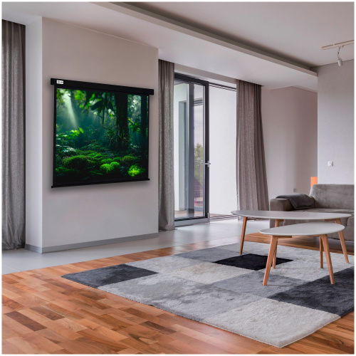 Экран Cactus 213x213см Wallscreen, 119", 1:1 настенно-потолочный, рулонный, черный CS-PSW-213X213-BK