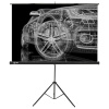 Экран Cactus 221x124.5см Triscreen, 100", 16:9 напольный, рулонный, черный, CS-PST-124x221
