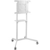 Стойка для телевизора напольная Cactus 37"-70", на колесах, до 70кг, белая, CS-ST1146WT