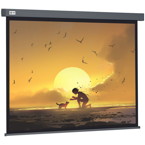 Экран Cactus 221x124.5см Wallscreen, 100", 16:9 настенно-потолочный, рулонн, серый CS-PSW-124X221-SG