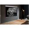 Экран Cactus 213x213см Wallscreen, 119", 1:1 настенно-потолочный, рулонный, белый, CS-PSW-213x213