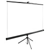 Экран Cactus 160x160см TriExpert, 90", 1:1 напольный, рулонный, черный, CS-PSTE-160x160-BK