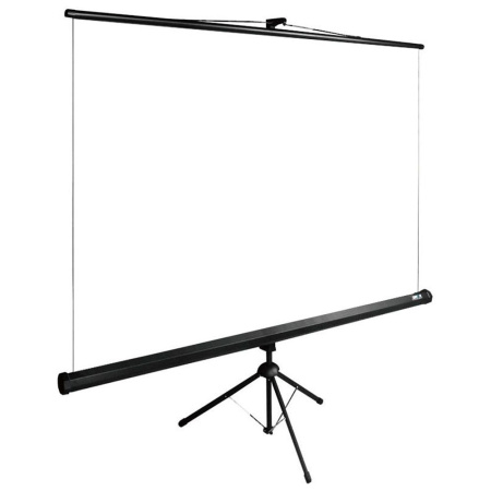 Экран Cactus 160x160см TriExpert, 90", 1:1 напольный, рулонный, черный, CS-PSTE-160x160-BK