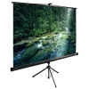 Экран Cactus 220x165см TriExpert, 109", 4:3 напольный, рулонный, черный, CS-PSTE-220x165-BK