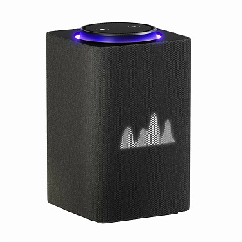 Умная колонка Яндекс Станция Макс Алисой, с Zigbee, черный