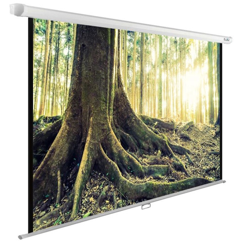 Экран Cactus 220x220см WallExpert, 120", 1:1 настенно-потолочный, рулонный, CS-PSWE-220x220-WT