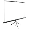 Экран Cactus 200x200см TriExpert, 111", 1:1 напольный, рулонный, черный, CS-PSTE-200x200-BK