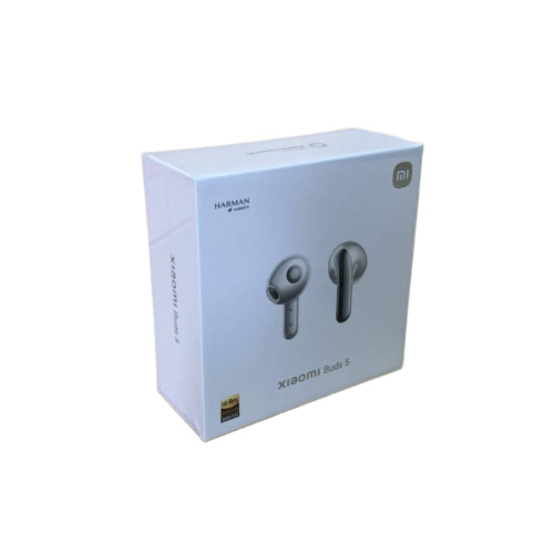 Наушники беспроводные Xiaomi Buds 5, M2341E1 CN, BHR8862CN титан