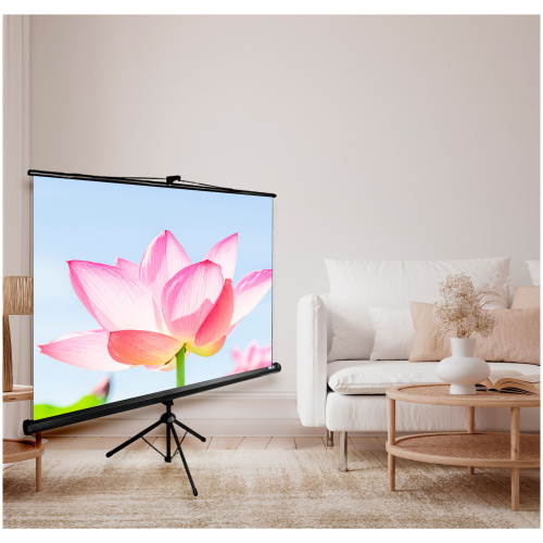 Экран Cactus 186x104.4см Triscreen, 84", 16:9, напольный, рулонный, черный, CS-PST-104x186