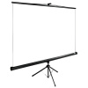 Экран Cactus 180x135см TriExpert, 89", 4:3 напольный, рулонный, черный, CS-PSTE-180x135-BK